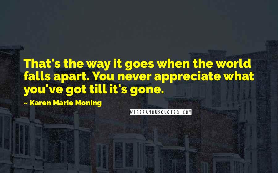 Karen Marie Moning Quotes: That's the way it goes when the world falls apart. You never appreciate what you've got till it's gone.