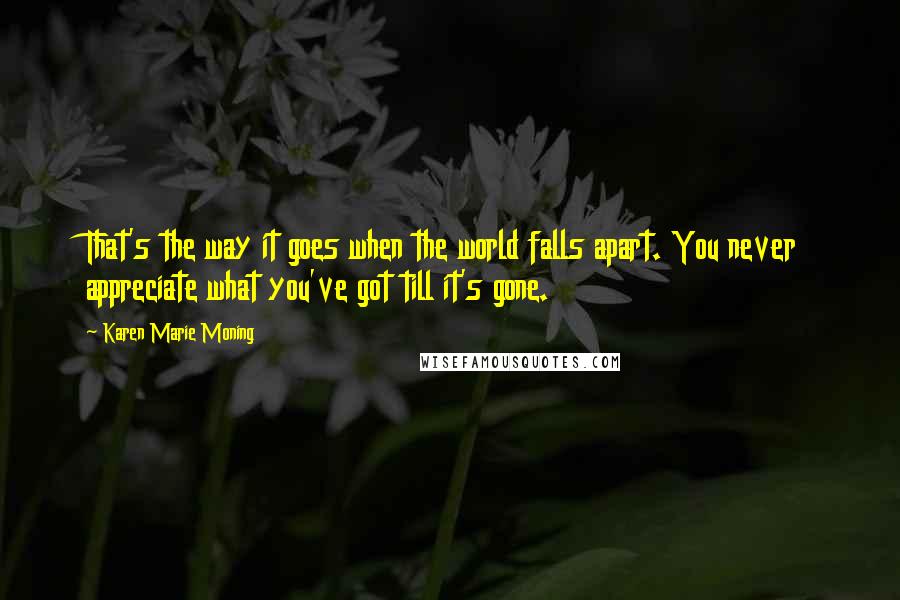 Karen Marie Moning Quotes: That's the way it goes when the world falls apart. You never appreciate what you've got till it's gone.