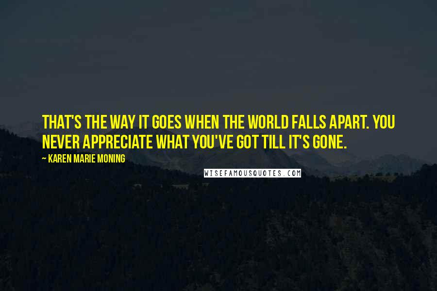 Karen Marie Moning Quotes: That's the way it goes when the world falls apart. You never appreciate what you've got till it's gone.