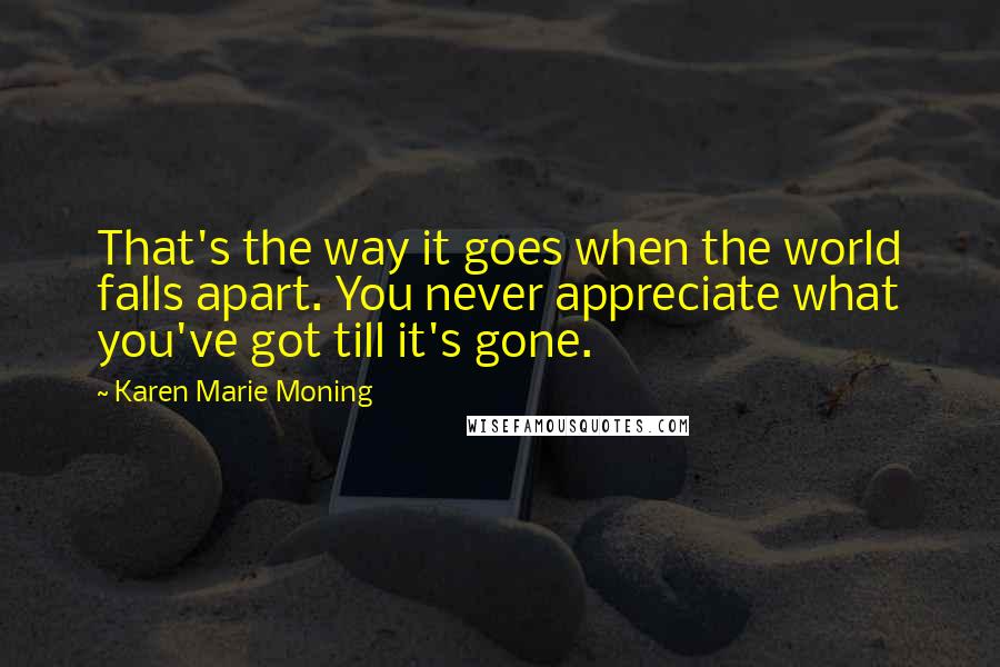 Karen Marie Moning Quotes: That's the way it goes when the world falls apart. You never appreciate what you've got till it's gone.