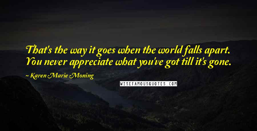 Karen Marie Moning Quotes: That's the way it goes when the world falls apart. You never appreciate what you've got till it's gone.