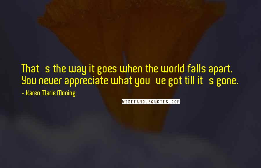 Karen Marie Moning Quotes: That's the way it goes when the world falls apart. You never appreciate what you've got till it's gone.