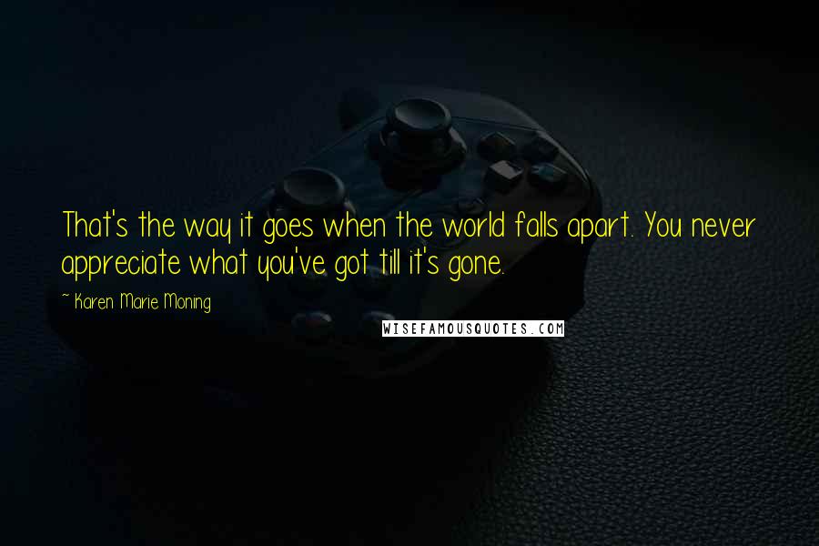 Karen Marie Moning Quotes: That's the way it goes when the world falls apart. You never appreciate what you've got till it's gone.