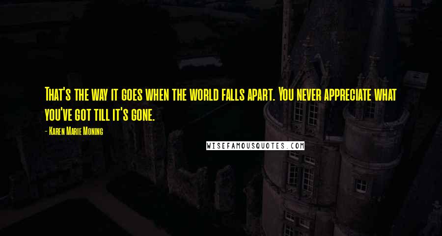 Karen Marie Moning Quotes: That's the way it goes when the world falls apart. You never appreciate what you've got till it's gone.