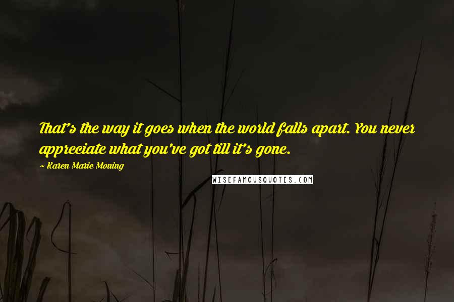 Karen Marie Moning Quotes: That's the way it goes when the world falls apart. You never appreciate what you've got till it's gone.