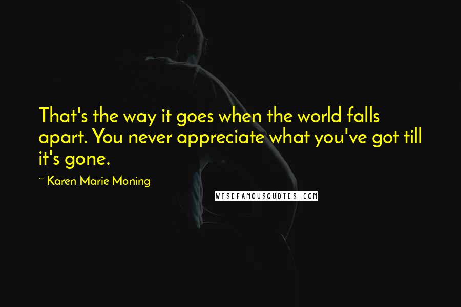 Karen Marie Moning Quotes: That's the way it goes when the world falls apart. You never appreciate what you've got till it's gone.