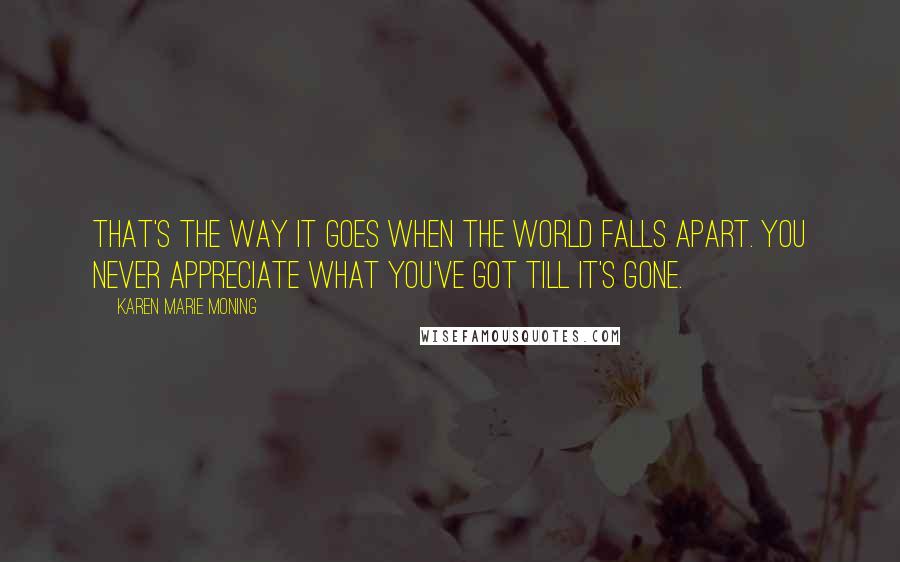 Karen Marie Moning Quotes: That's the way it goes when the world falls apart. You never appreciate what you've got till it's gone.