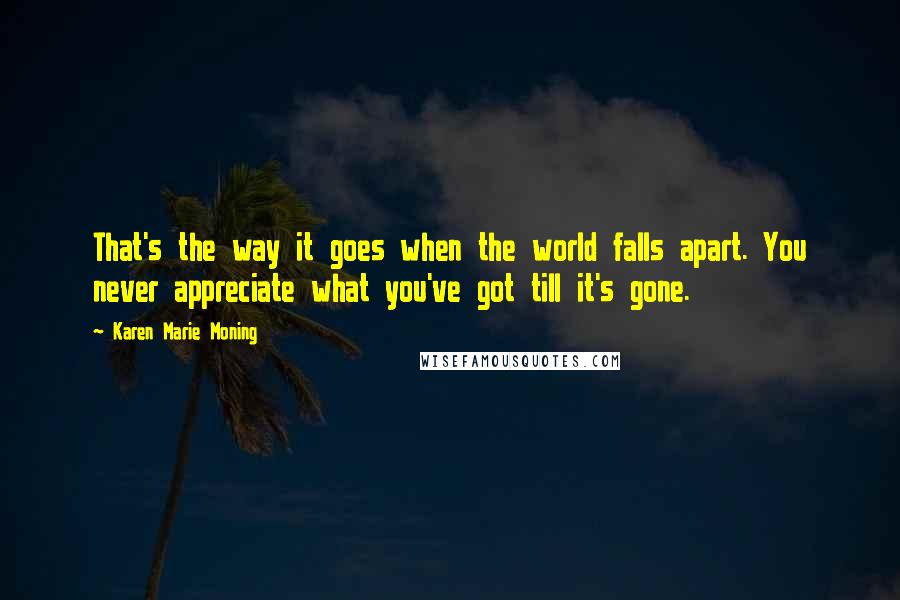 Karen Marie Moning Quotes: That's the way it goes when the world falls apart. You never appreciate what you've got till it's gone.