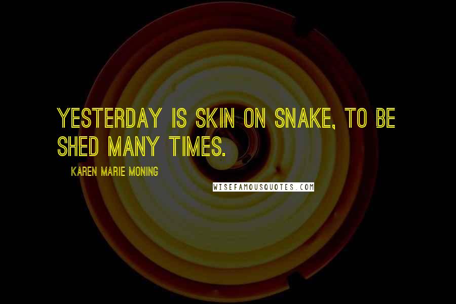 Karen Marie Moning Quotes: Yesterday is skin on snake, to be shed many times.