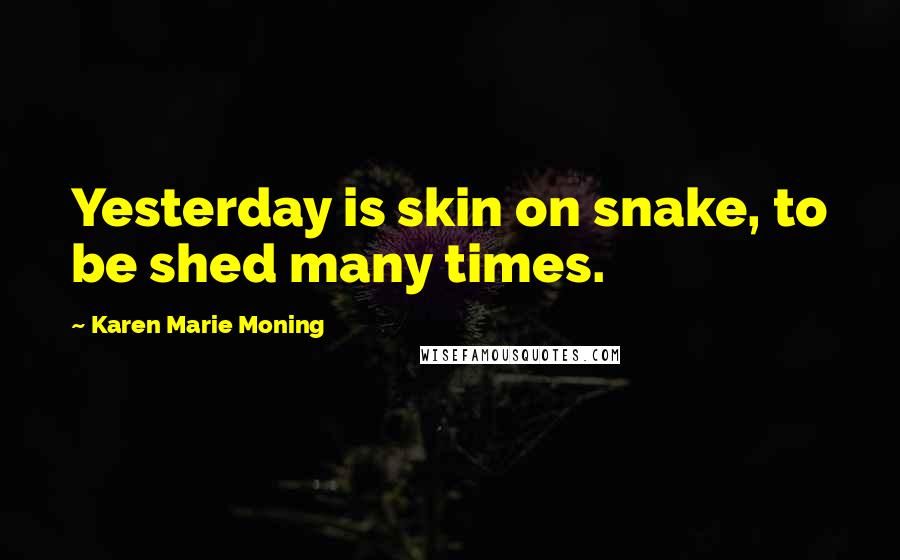 Karen Marie Moning Quotes: Yesterday is skin on snake, to be shed many times.