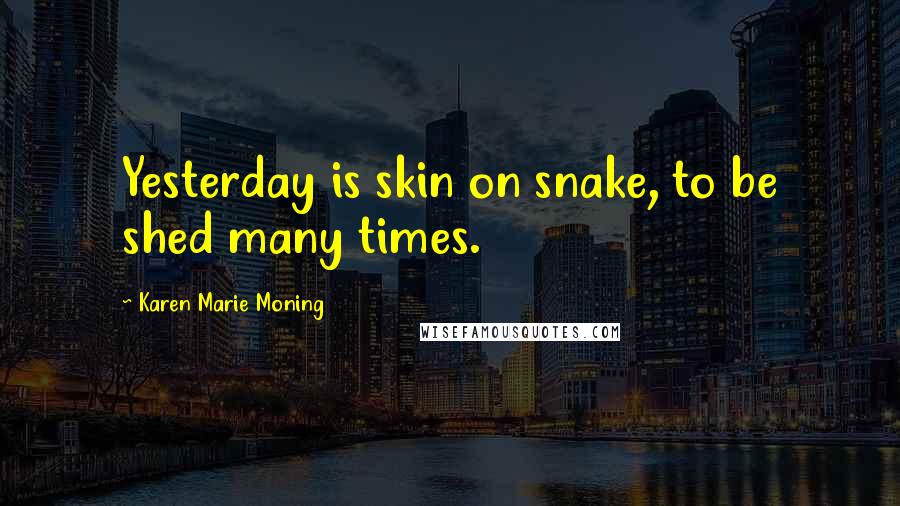 Karen Marie Moning Quotes: Yesterday is skin on snake, to be shed many times.