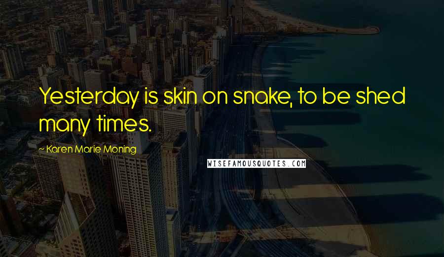 Karen Marie Moning Quotes: Yesterday is skin on snake, to be shed many times.