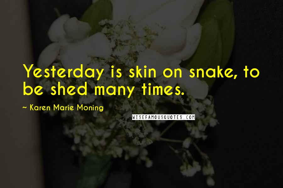 Karen Marie Moning Quotes: Yesterday is skin on snake, to be shed many times.