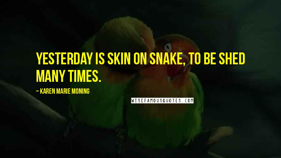 Karen Marie Moning Quotes: Yesterday is skin on snake, to be shed many times.