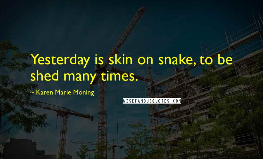 Karen Marie Moning Quotes: Yesterday is skin on snake, to be shed many times.