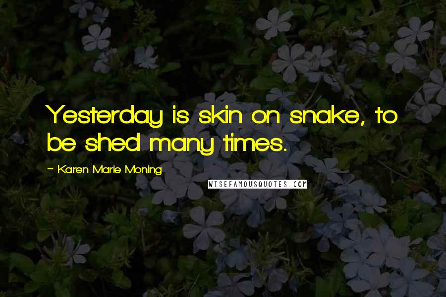 Karen Marie Moning Quotes: Yesterday is skin on snake, to be shed many times.