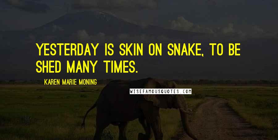 Karen Marie Moning Quotes: Yesterday is skin on snake, to be shed many times.