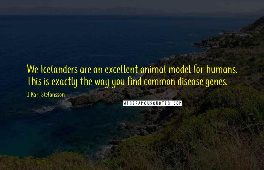 Kari Stefansson Quotes: We Icelanders are an excellent animal model for humans. This is exactly the way you find common disease genes.
