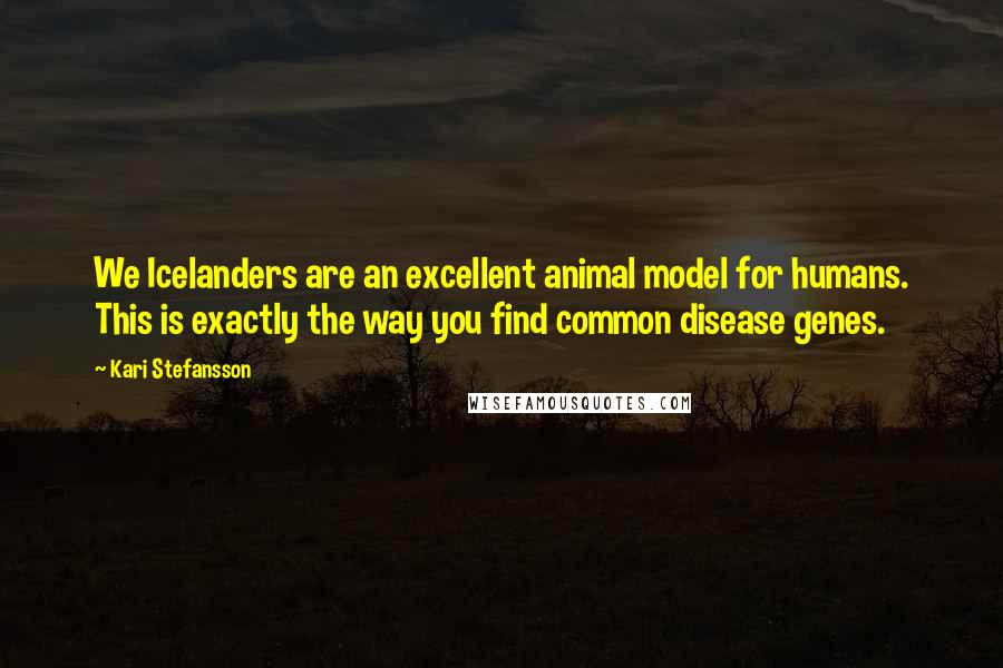 Kari Stefansson Quotes: We Icelanders are an excellent animal model for humans. This is exactly the way you find common disease genes.