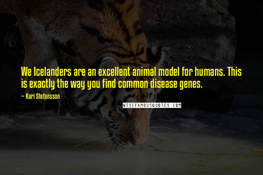 Kari Stefansson Quotes: We Icelanders are an excellent animal model for humans. This is exactly the way you find common disease genes.
