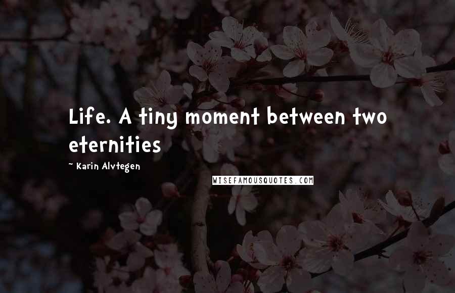 Karin Alvtegen Quotes: Life. A tiny moment between two eternities