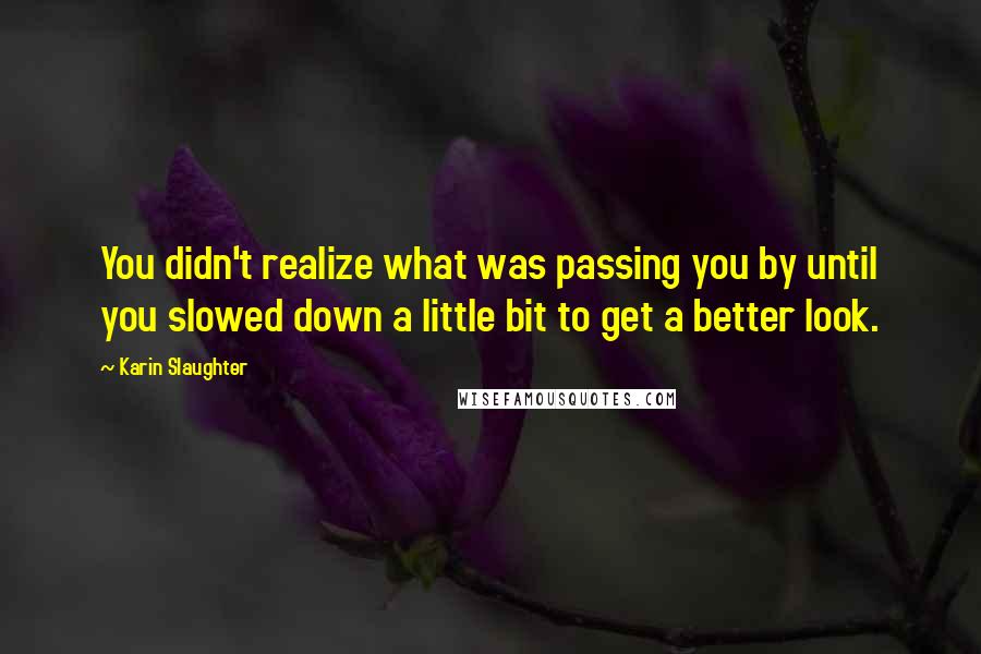 Karin Slaughter Quotes: You didn't realize what was passing you by until you slowed down a little bit to get a better look.