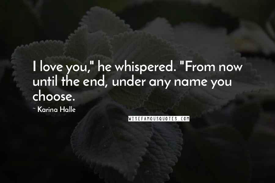 Karina Halle Quotes: I love you," he whispered. "From now until the end, under any name you choose.