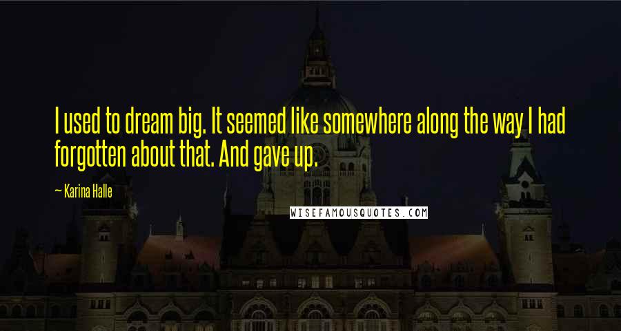 Karina Halle Quotes: I used to dream big. It seemed like somewhere along the way I had forgotten about that. And gave up.
