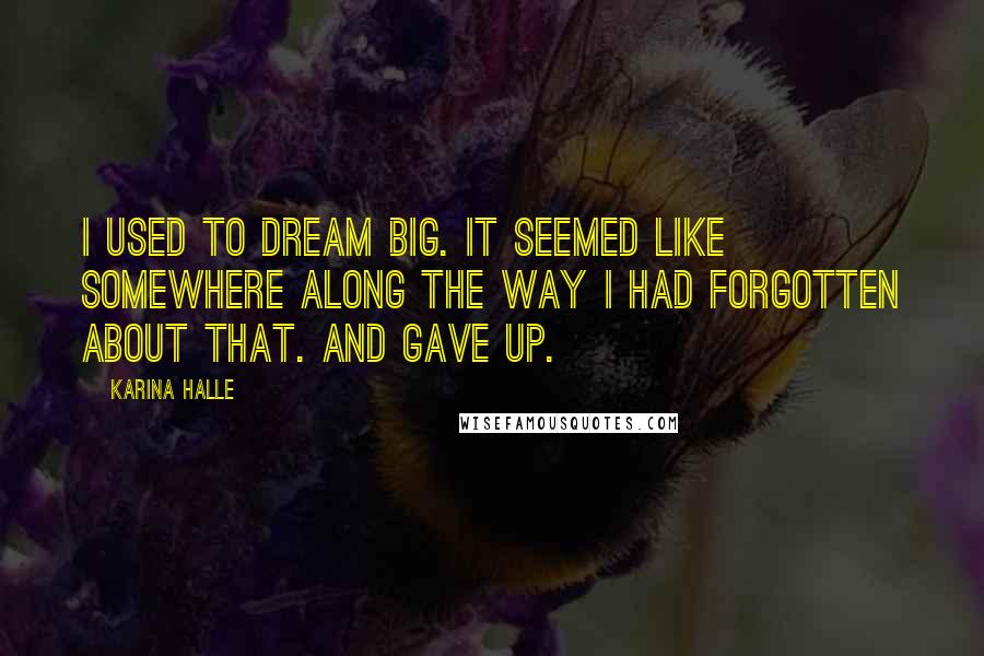 Karina Halle Quotes: I used to dream big. It seemed like somewhere along the way I had forgotten about that. And gave up.