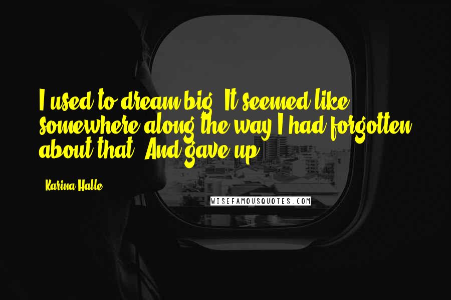Karina Halle Quotes: I used to dream big. It seemed like somewhere along the way I had forgotten about that. And gave up.