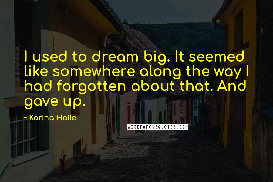 Karina Halle Quotes: I used to dream big. It seemed like somewhere along the way I had forgotten about that. And gave up.