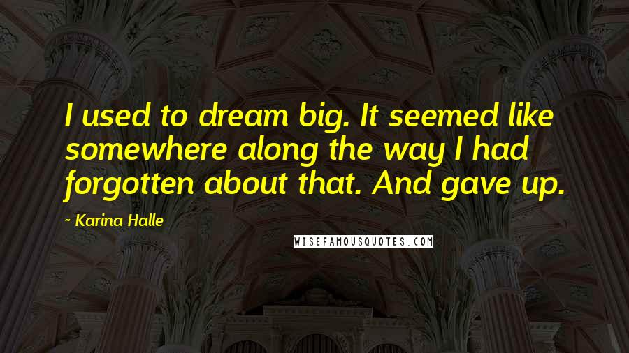 Karina Halle Quotes: I used to dream big. It seemed like somewhere along the way I had forgotten about that. And gave up.