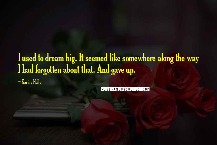 Karina Halle Quotes: I used to dream big. It seemed like somewhere along the way I had forgotten about that. And gave up.
