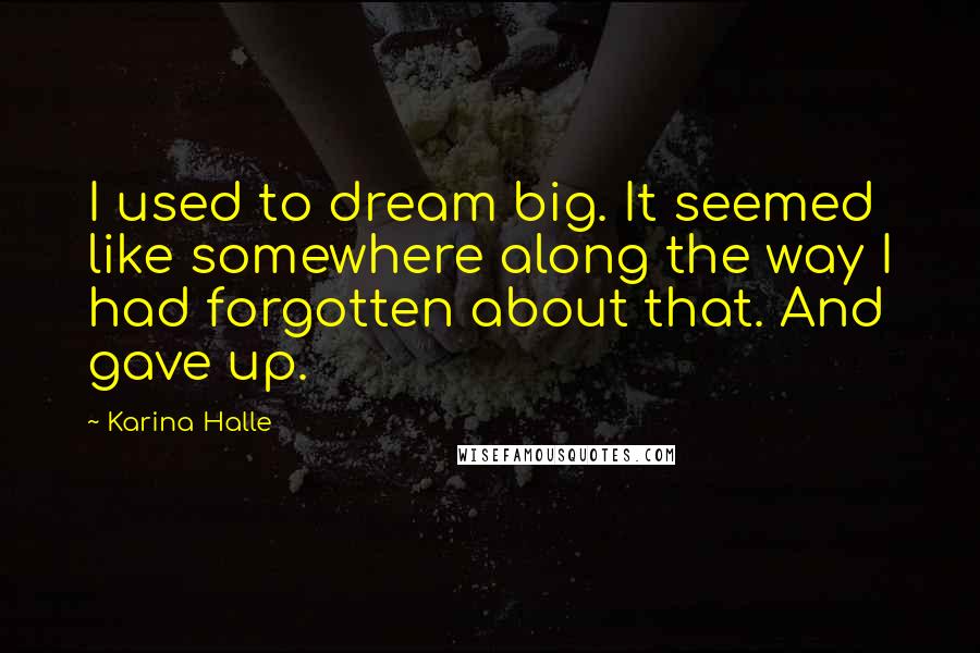 Karina Halle Quotes: I used to dream big. It seemed like somewhere along the way I had forgotten about that. And gave up.
