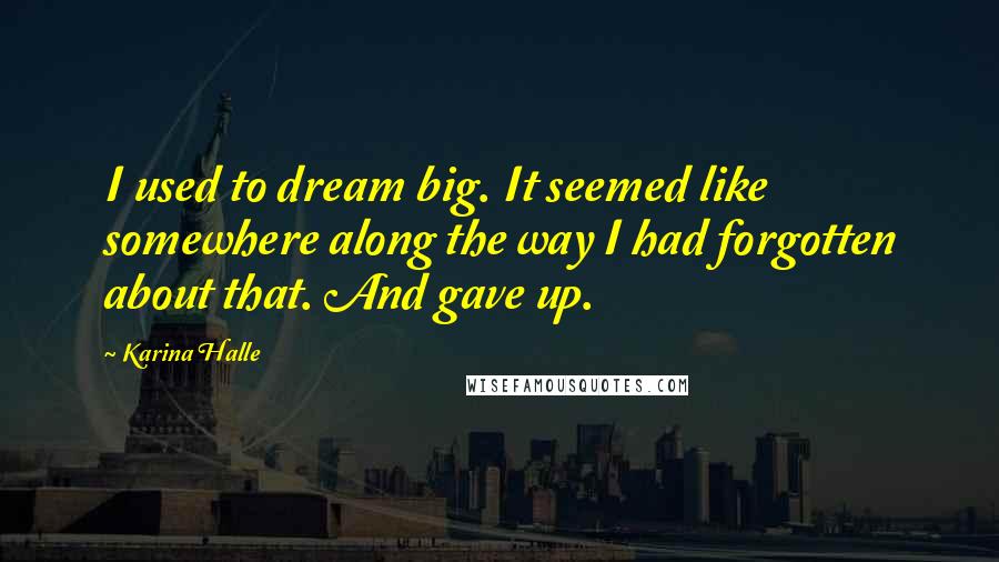 Karina Halle Quotes: I used to dream big. It seemed like somewhere along the way I had forgotten about that. And gave up.