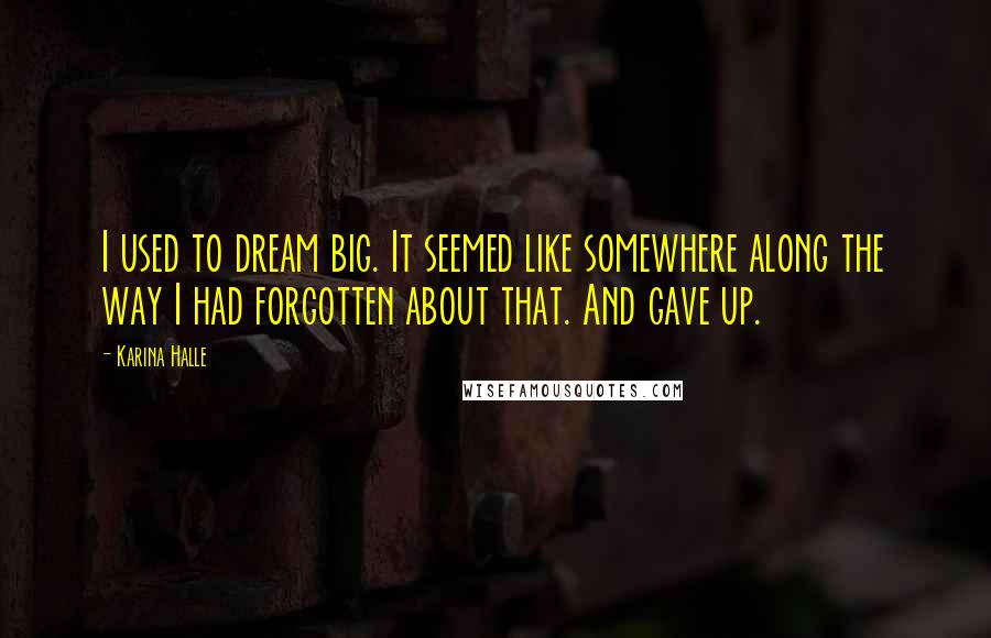 Karina Halle Quotes: I used to dream big. It seemed like somewhere along the way I had forgotten about that. And gave up.