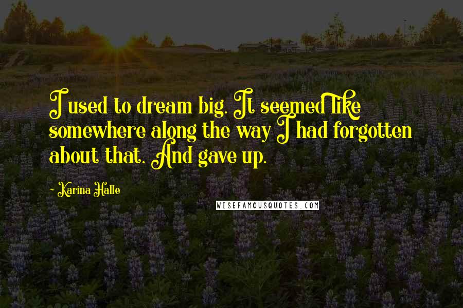 Karina Halle Quotes: I used to dream big. It seemed like somewhere along the way I had forgotten about that. And gave up.