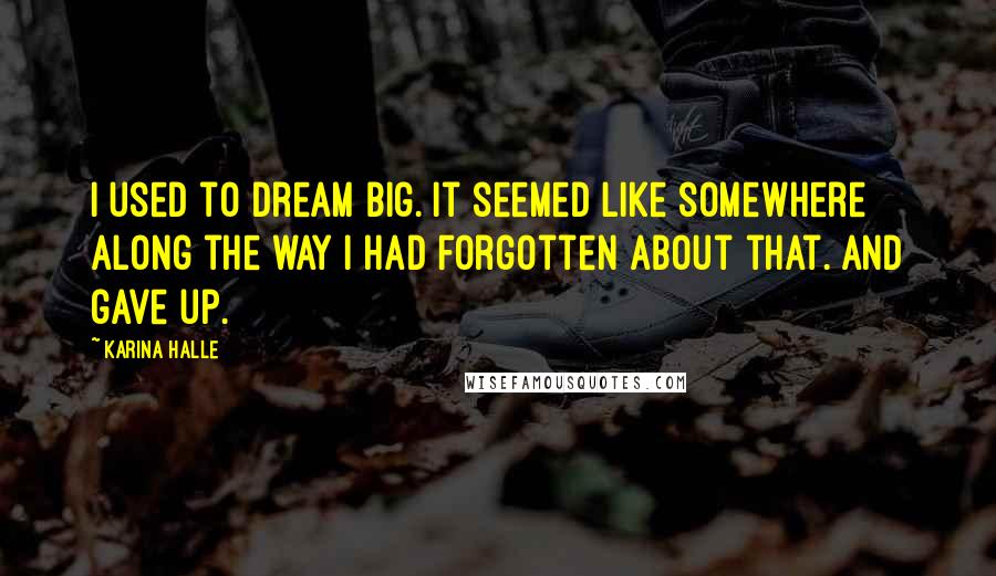 Karina Halle Quotes: I used to dream big. It seemed like somewhere along the way I had forgotten about that. And gave up.