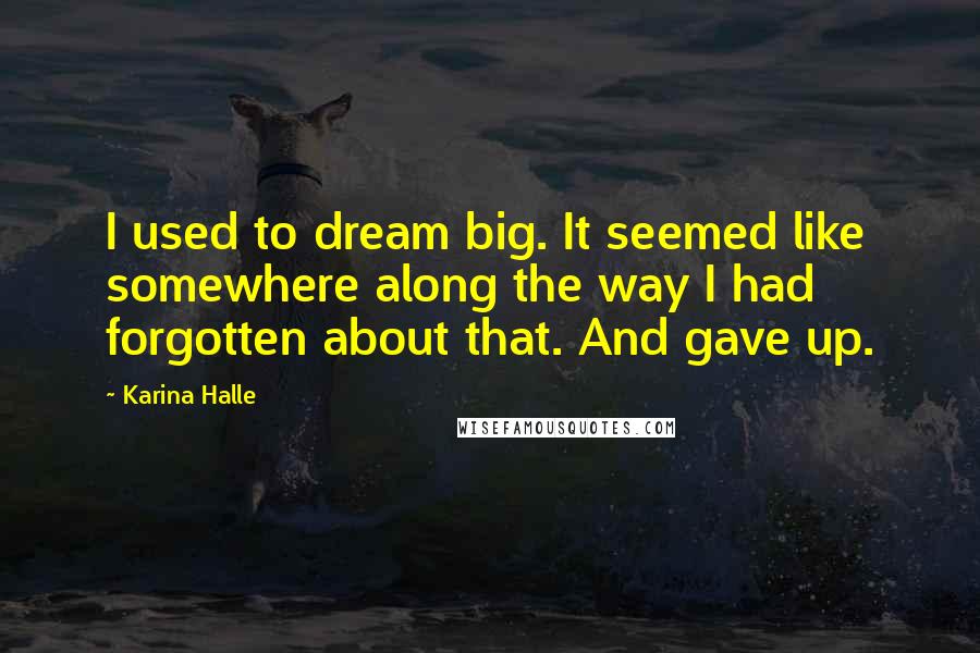 Karina Halle Quotes: I used to dream big. It seemed like somewhere along the way I had forgotten about that. And gave up.