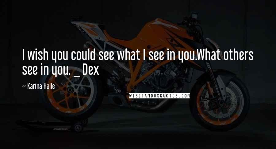 Karina Halle Quotes: I wish you could see what I see in you.What others see in you. _ Dex
