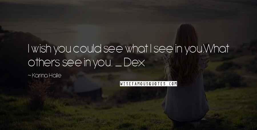 Karina Halle Quotes: I wish you could see what I see in you.What others see in you. _ Dex