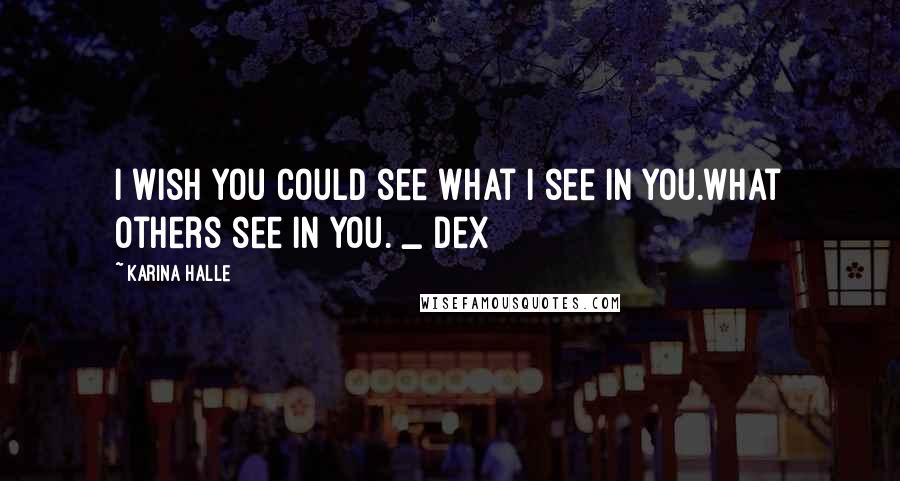 Karina Halle Quotes: I wish you could see what I see in you.What others see in you. _ Dex