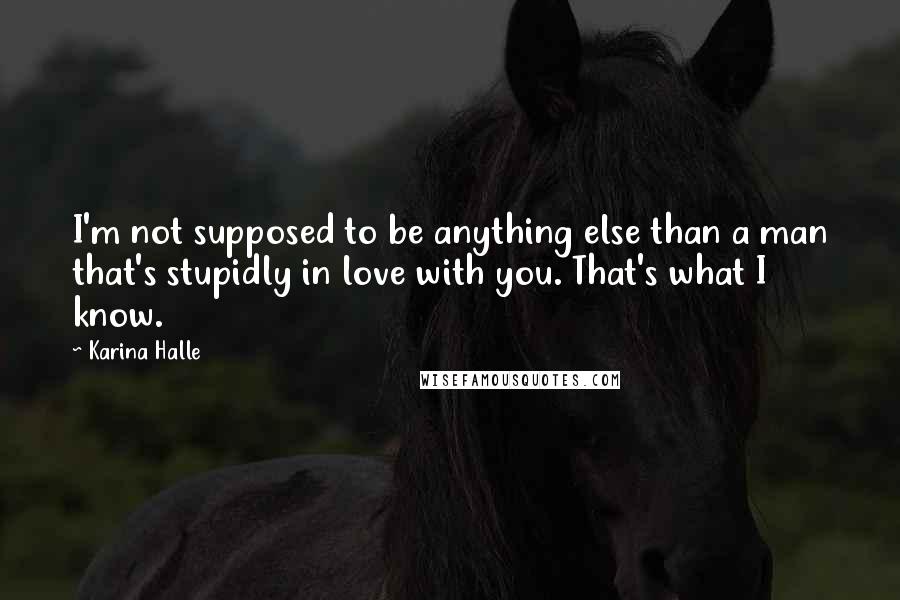 Karina Halle Quotes: I'm not supposed to be anything else than a man that's stupidly in love with you. That's what I know.