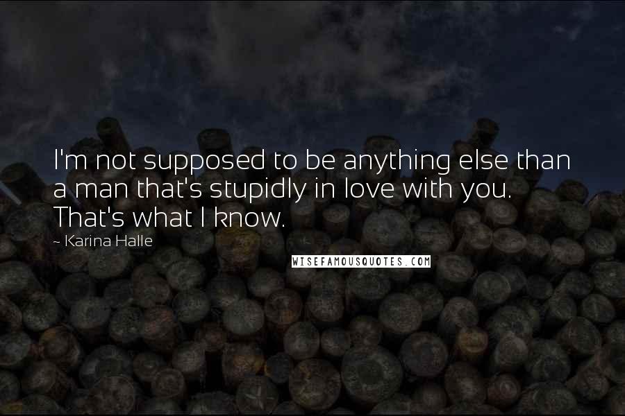 Karina Halle Quotes: I'm not supposed to be anything else than a man that's stupidly in love with you. That's what I know.