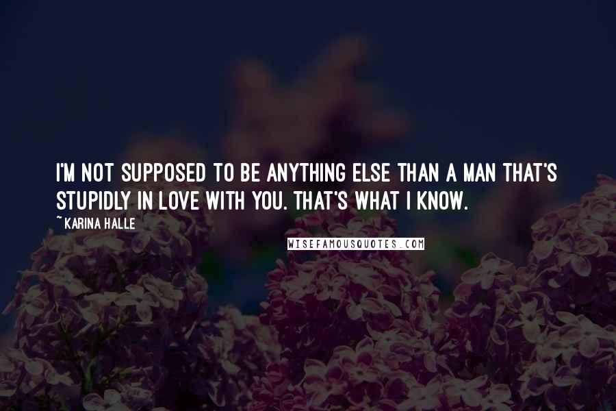 Karina Halle Quotes: I'm not supposed to be anything else than a man that's stupidly in love with you. That's what I know.