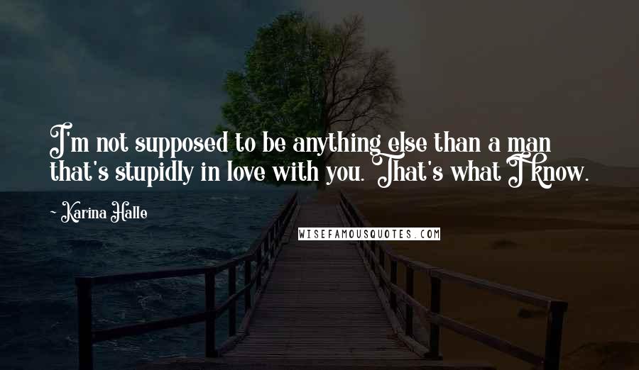 Karina Halle Quotes: I'm not supposed to be anything else than a man that's stupidly in love with you. That's what I know.