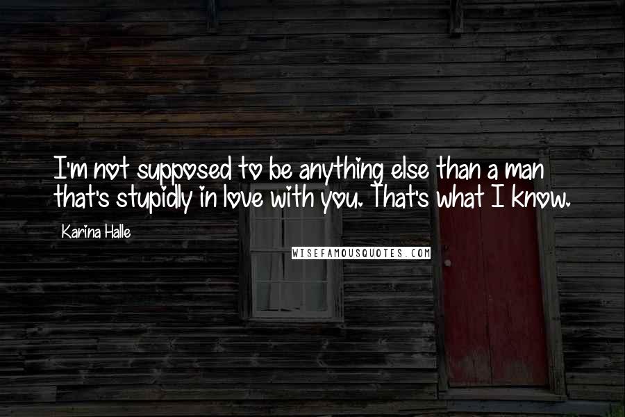 Karina Halle Quotes: I'm not supposed to be anything else than a man that's stupidly in love with you. That's what I know.