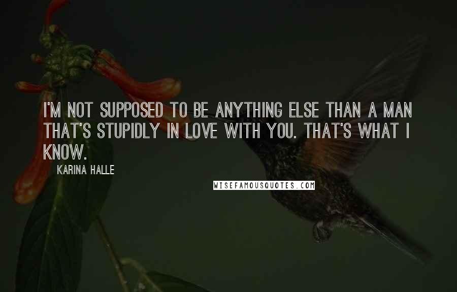 Karina Halle Quotes: I'm not supposed to be anything else than a man that's stupidly in love with you. That's what I know.