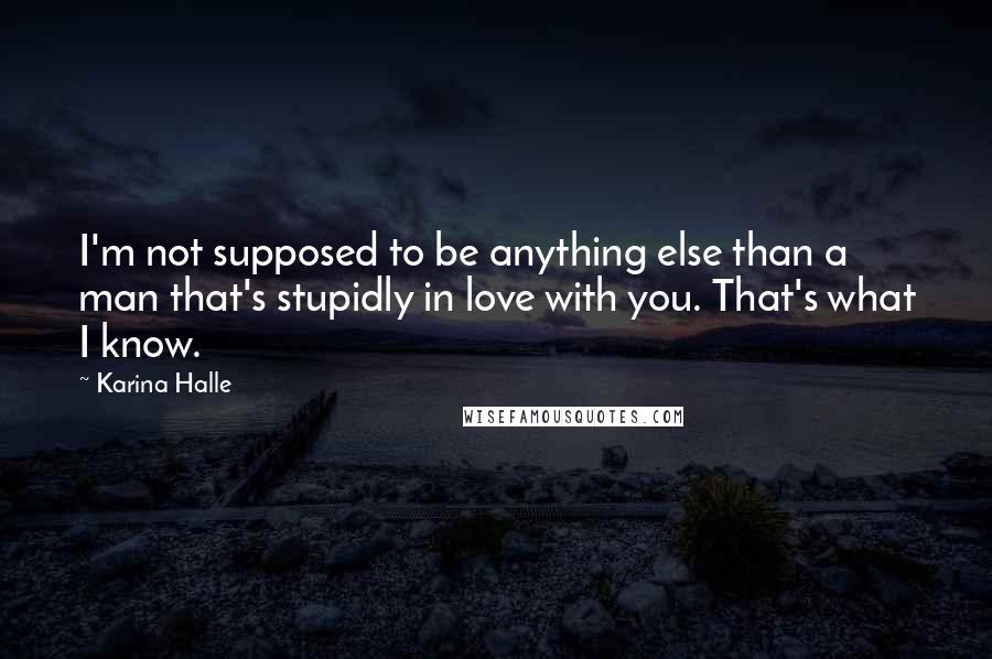 Karina Halle Quotes: I'm not supposed to be anything else than a man that's stupidly in love with you. That's what I know.