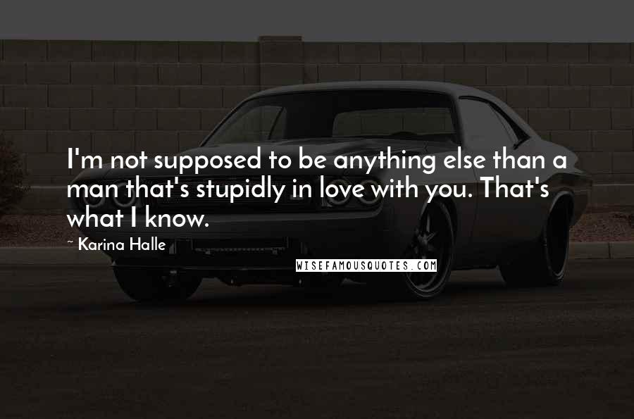 Karina Halle Quotes: I'm not supposed to be anything else than a man that's stupidly in love with you. That's what I know.